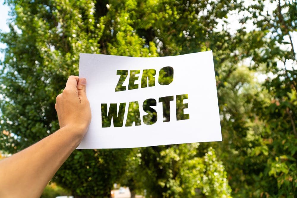 Any Low-Tox, Low-Waste Goals?